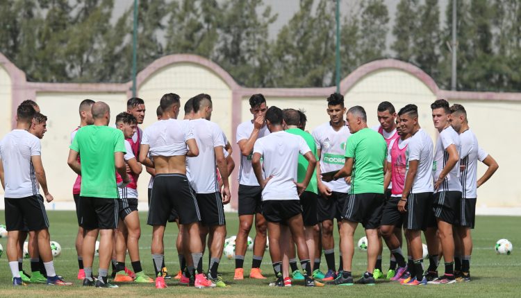 ÉLIMINATOIRES CHAN 2018: L’EN A DES LOCAUX A PIED D’ŒUVRE A SIDI MOUSSA