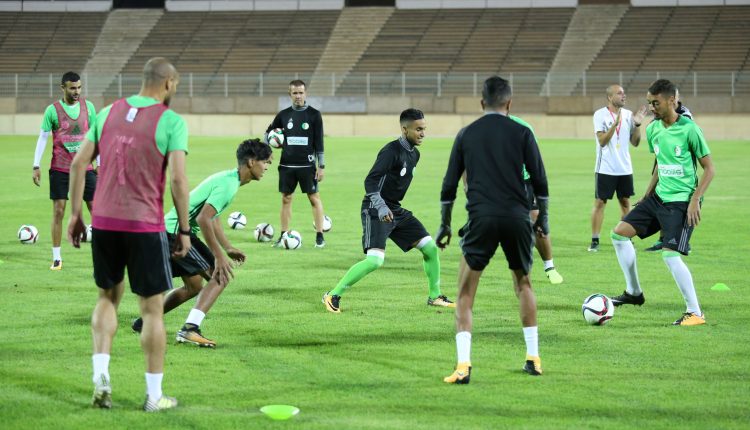 الجزائر – زامبيا : أول حصة تدريبية للخضر بملعب حملاوي