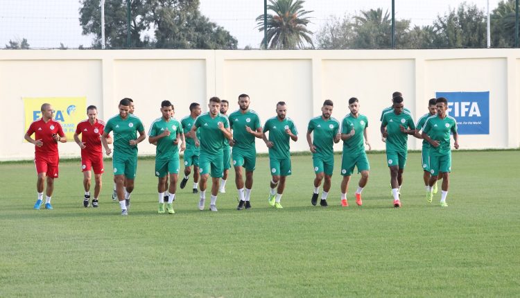 ALGÉRIE – MAROC (CHAN 2019) : DÉBUT DE STAGE POUR LES VERTS (VIDÉO)