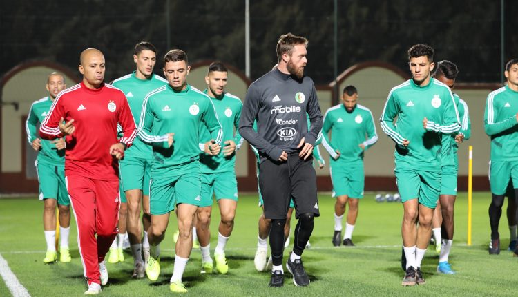 EN : ENTAME DE STAGE POUR LES VERTS