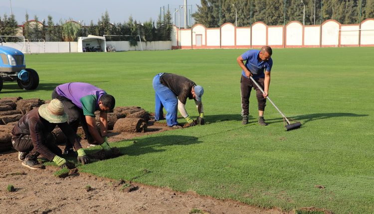 DEPARTEMENT REALISATIONS : OPERATION DE TRANSPLANTATION DU GAZON DU CTN AU STADE DE KHEMIS MILIANA