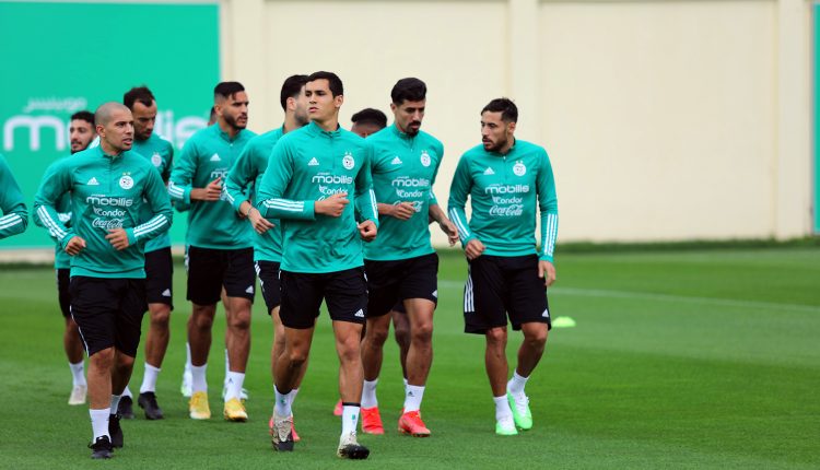 EQUIPE NATIONALE : LES VERTS REPRENNENT LES ENTRAINEMENTS CE MARDI