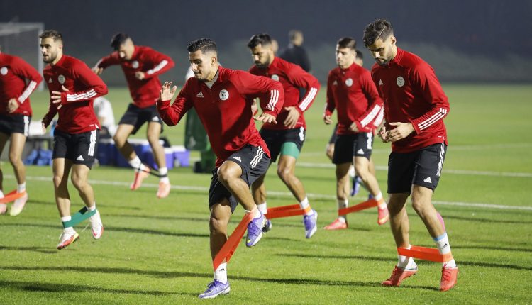 نصف نهائي كأس العرب فيفا 2021 : الإستعدادات الأخيرة للخضر قبل مواجهة قطر