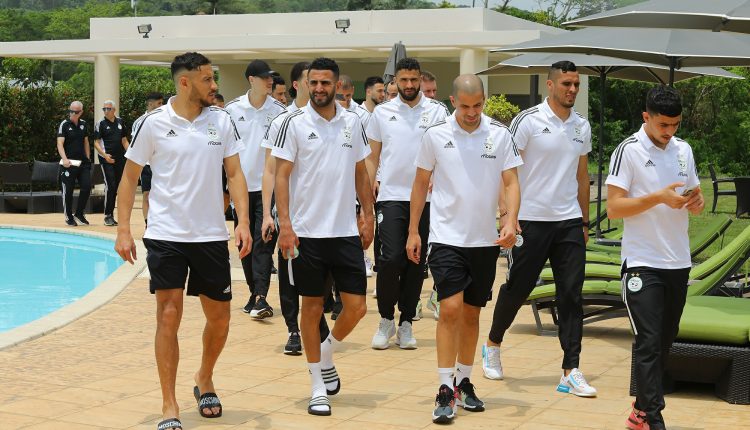 MATCHS BARRAGES DES ELIMINATOIRES DE LA COUPE DU MONDE – QATAR 2022 : BALADE DÉCONTRACTANTE DANS UNE NATURE REPOSANTE