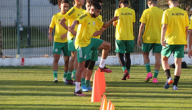 كأس إفريقيا لأقل من 17 سنة / الجزائر 2023: أخر حصة تدريبية للخضر قبل مواجهة السنغال